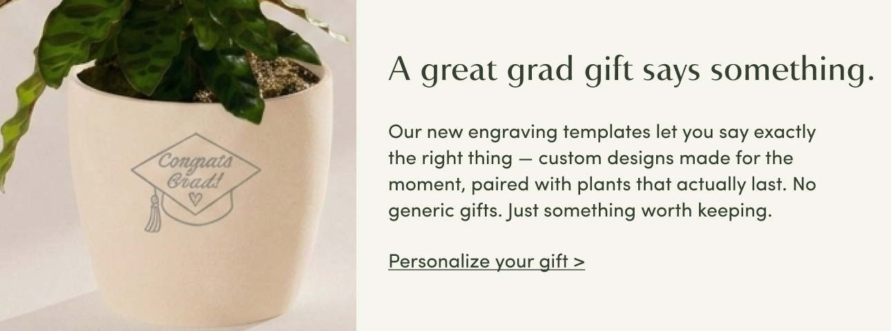 Personalize your gift