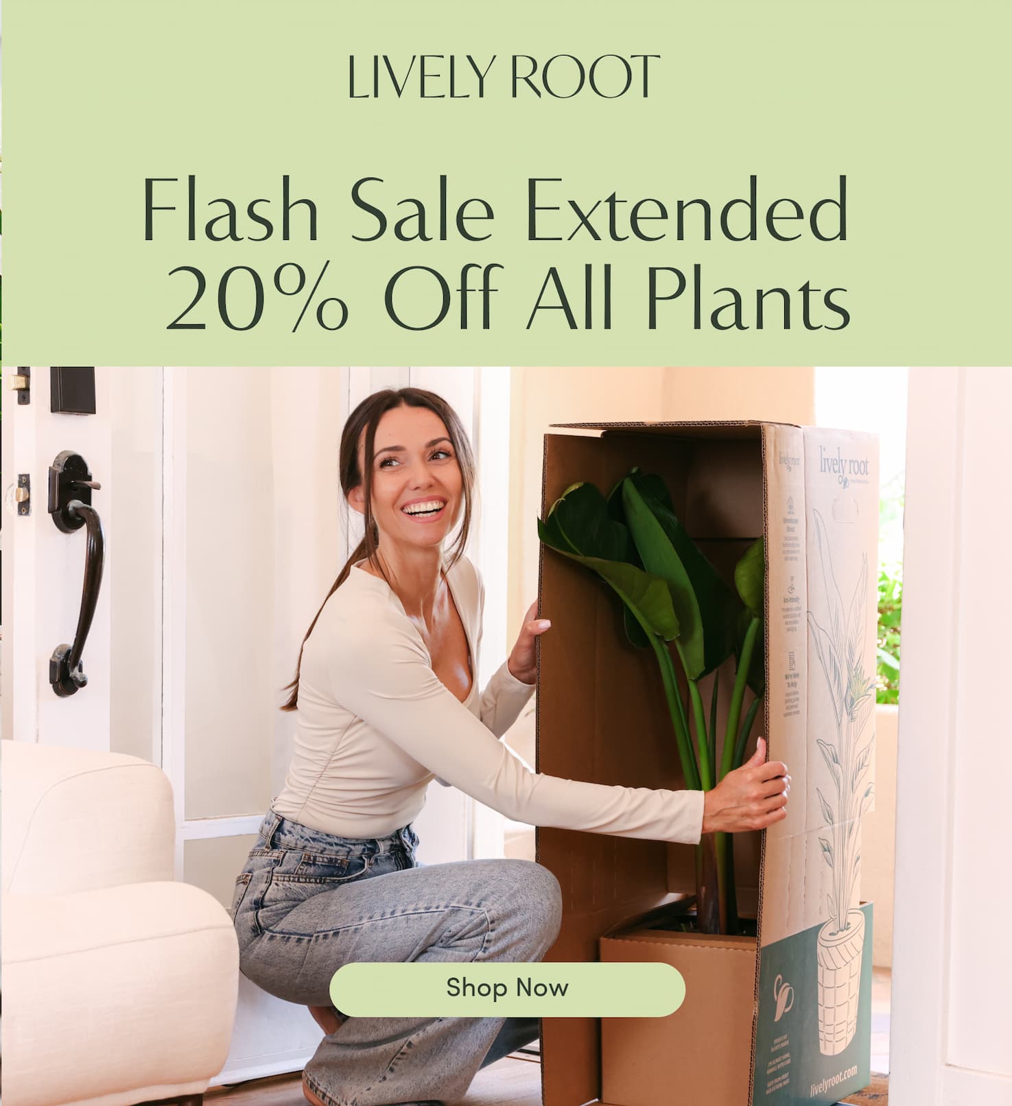 flash sale 20% off all plants
