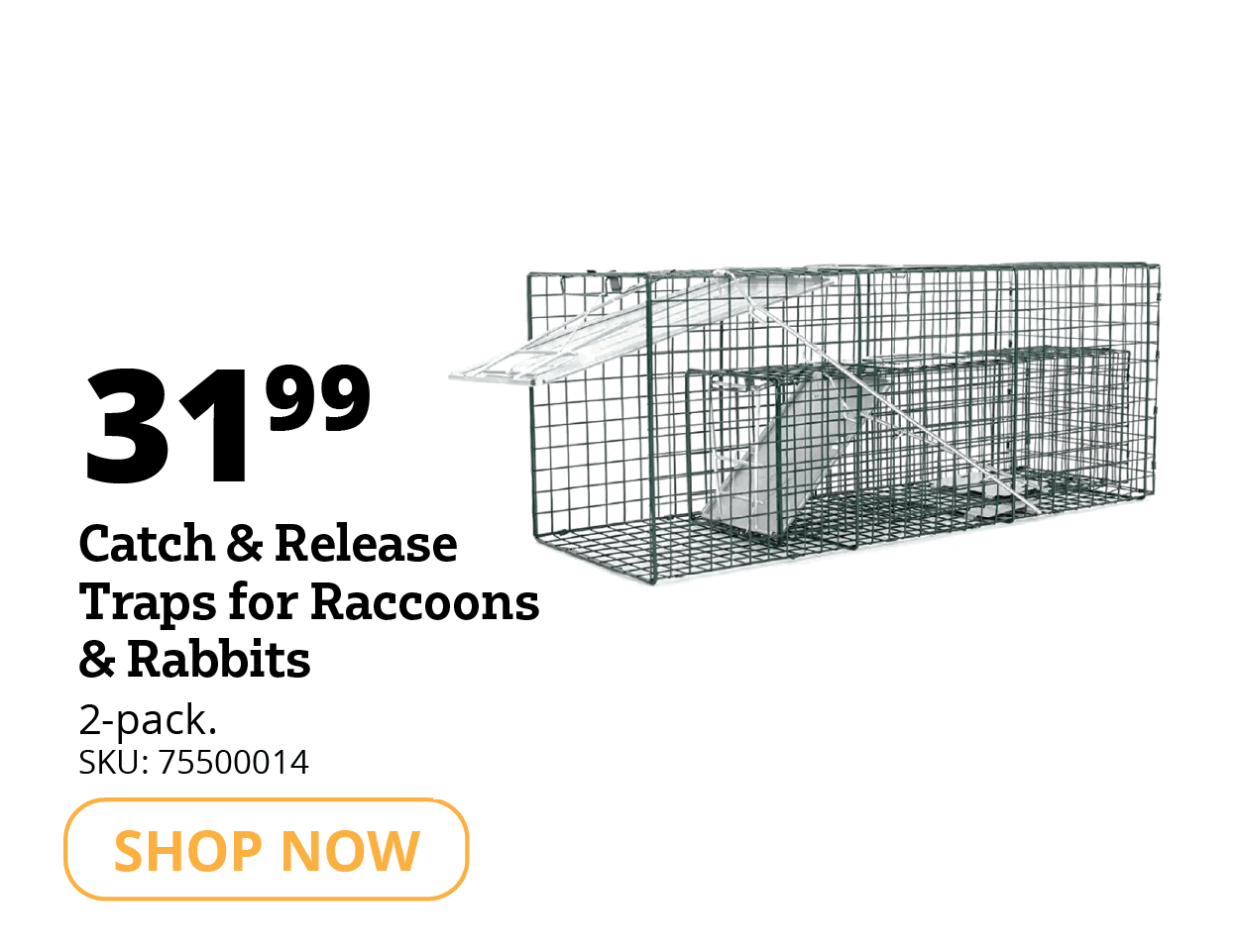 Catch & Release Traps