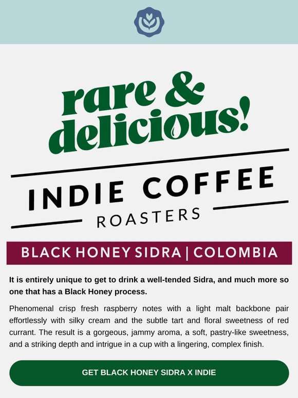 JUNE'S RARE & DELICIOUS: BLACK HONEY SIDRA x Indie