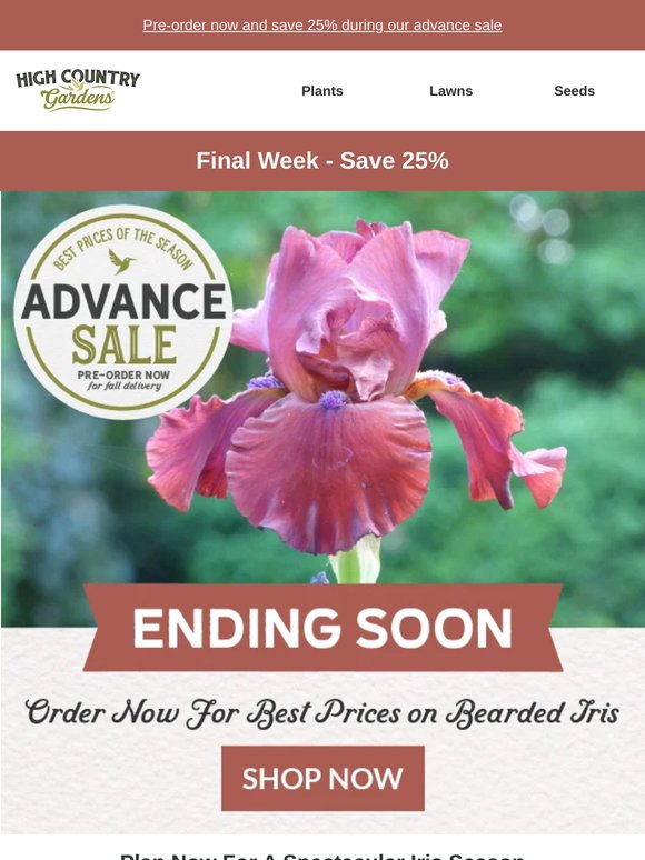Best Prices On Bearded Iris - Ending Soon