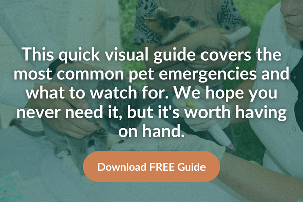 Pet Emergency guide