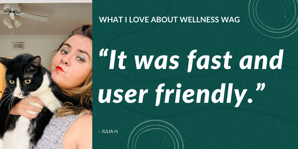 What I love About Wellness Wag