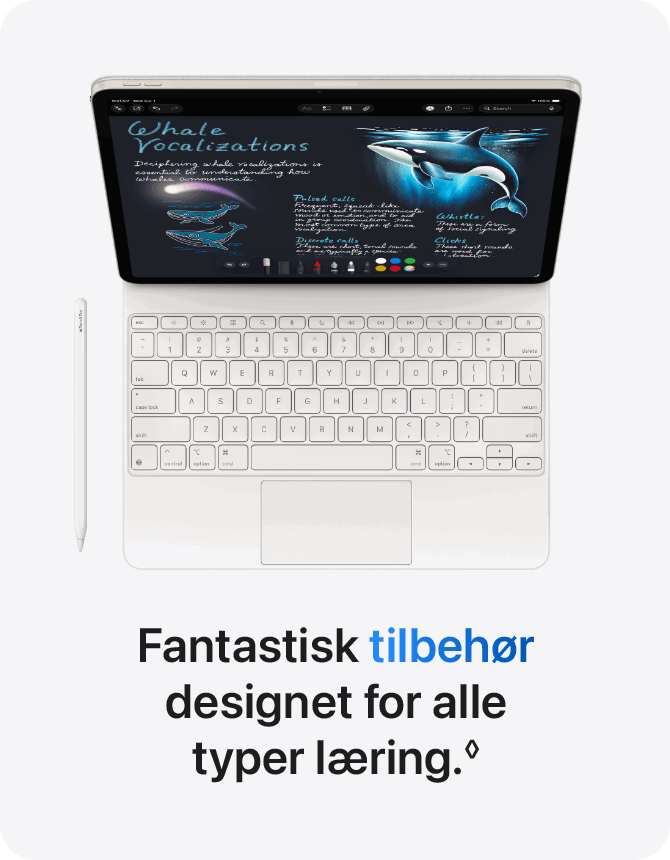 Fantastisk tilbehør designet for alle typer læring.*