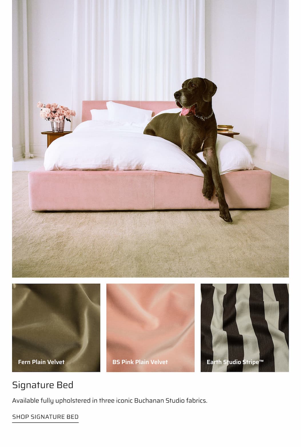 Shop Signature Bed.