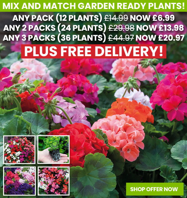 Garden Ready Mix & Match