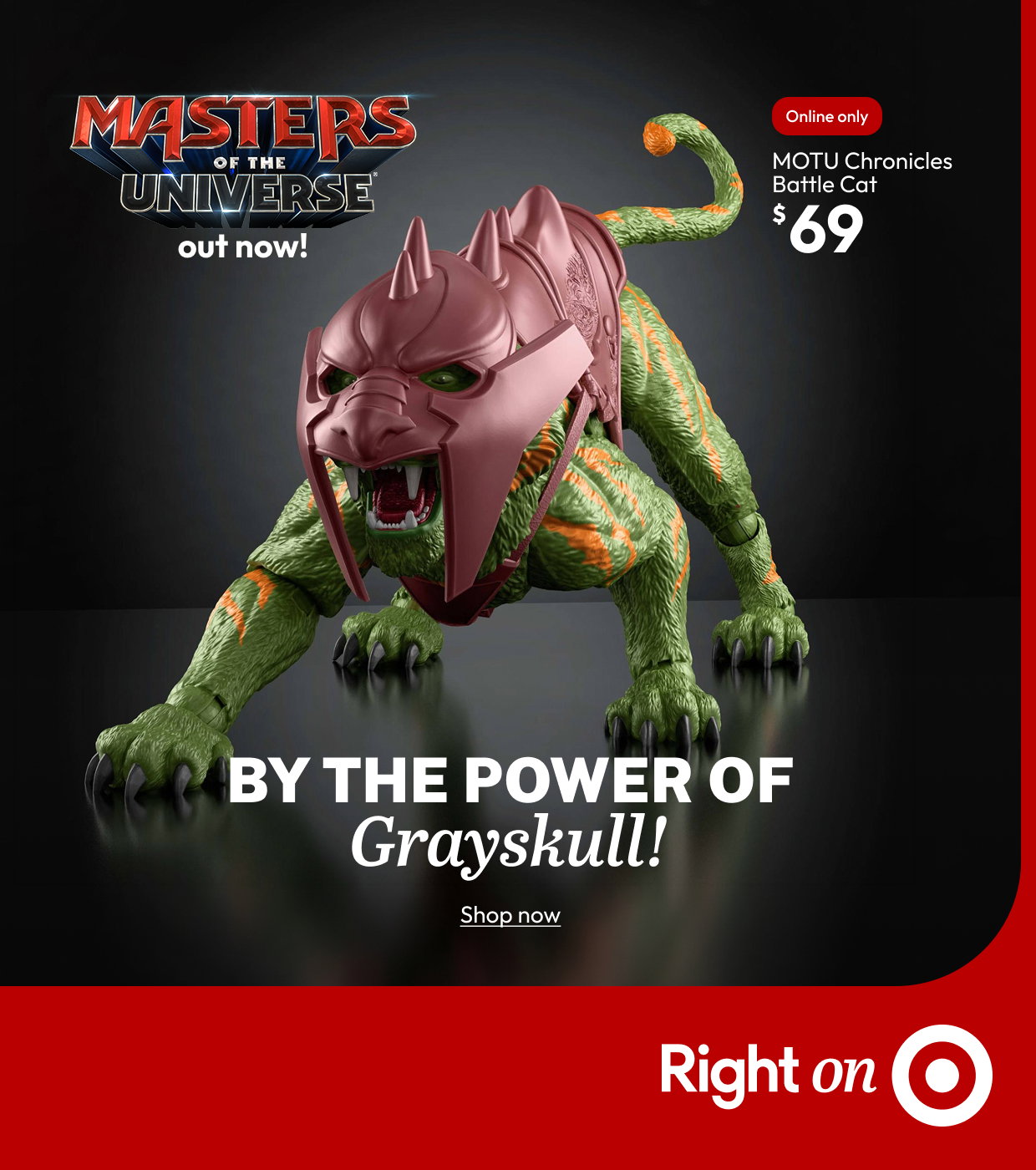 BY THE POWER OF Grayskull!