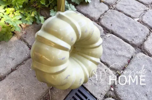 Use an old Bundt pan for this beautiful and fun backyard idea