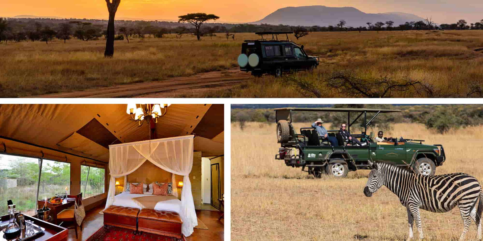 On Safari in South Africa - Luxury Safari Plains with Three-night Cape Town Extension  