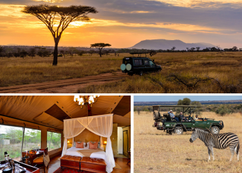On Safari in South Africa - Luxury Safari Plains with Three-night Cape Town Extension 