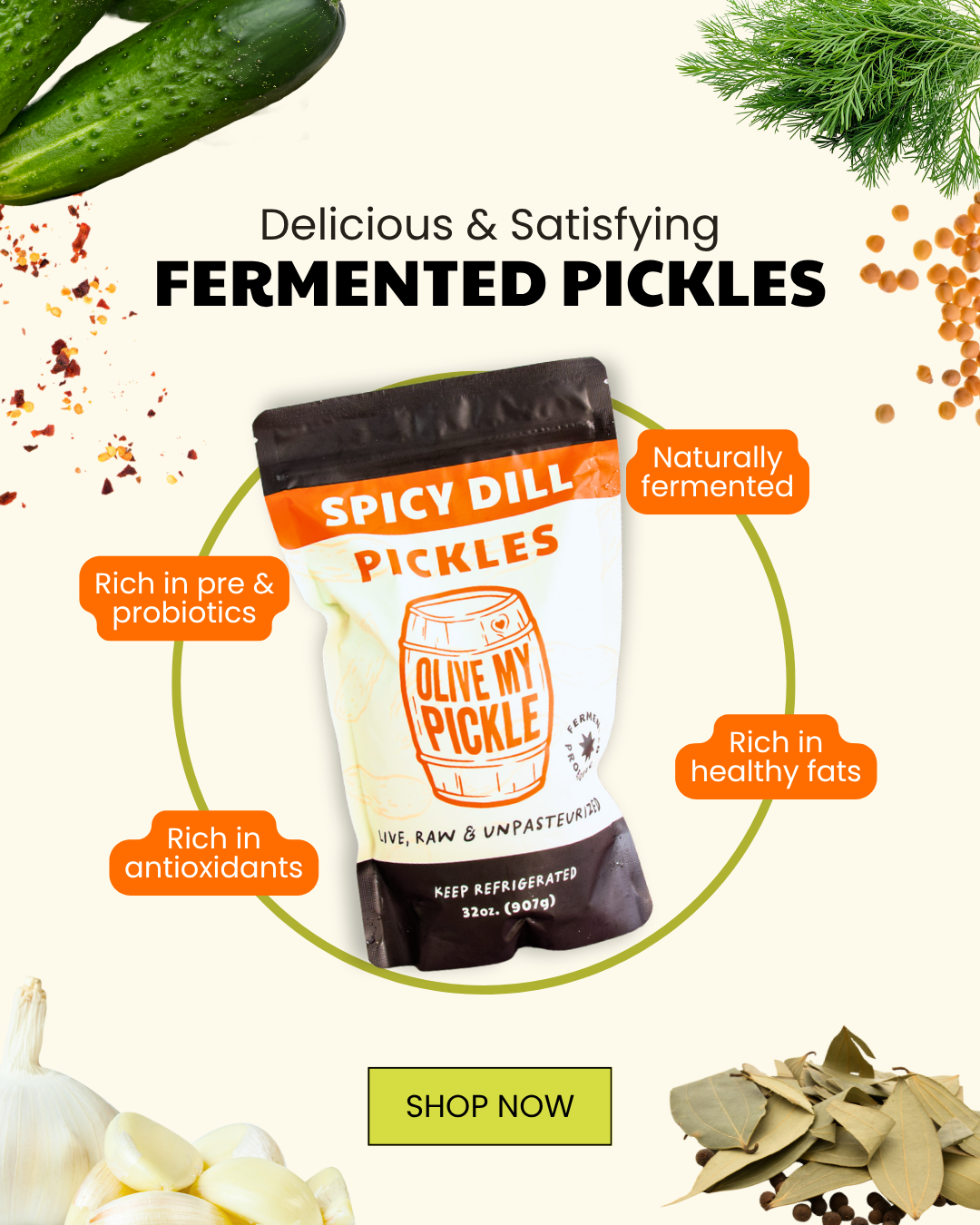 A pouch of 'Olive My Pickle' spicy dill fermented pickles, with fresh cucumbers, dill, garlic, bay leaves, and peppercorns arranged around it. Text bubbles high