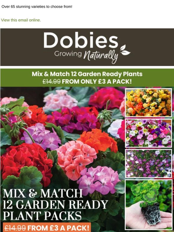 12 Garden Ready Plants FROM £3 A Pack! Mix & Match Special