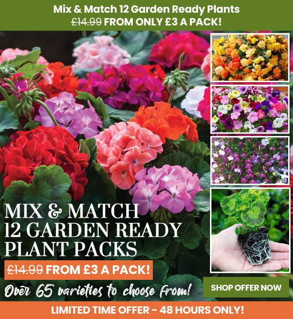 Garden Ready Mix & Match