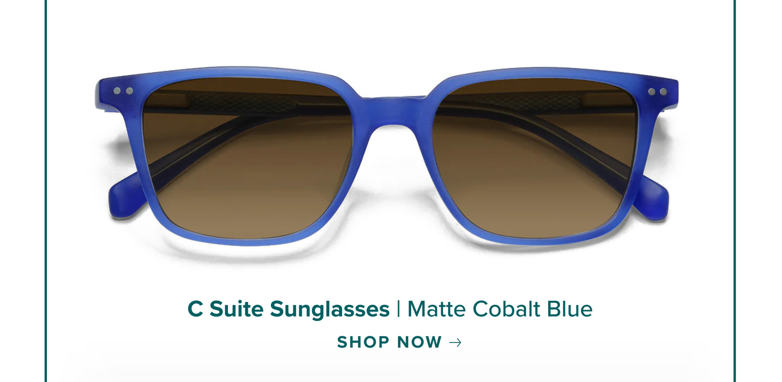 C Suite Sunglasses