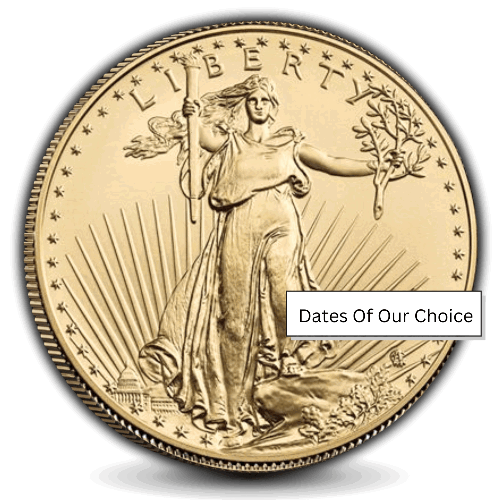 1 oz American Gold Eagle product photo