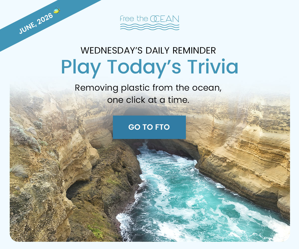 Wednesday's Daily Reminder - Play Today's Trivia - Removing plastic from the ocean one click at a time