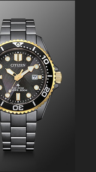 Promaster Dive LIGHT in BLACK  -  BN0264-53E