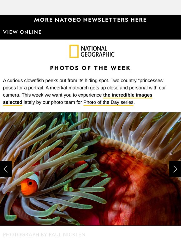 📸 PHOTOS OF THE WEEK: 22 breathtaking photos to inspire curiosity. Plus, NYC's stuntiest bikers
