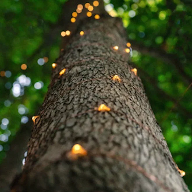 Litehouse Solar LED Copper Wire Fairy Lights, 20m