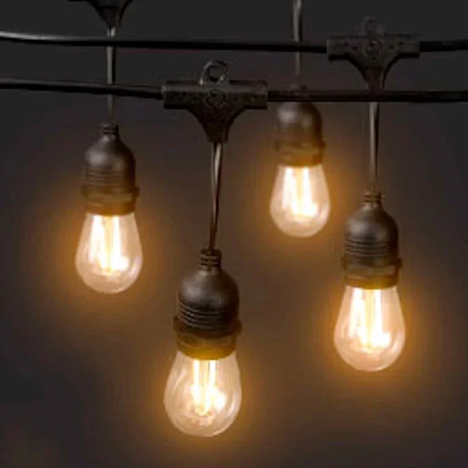 Litehouse Traditional Plug-In LED Festoon Outdoor Bulb String Lights, 10m