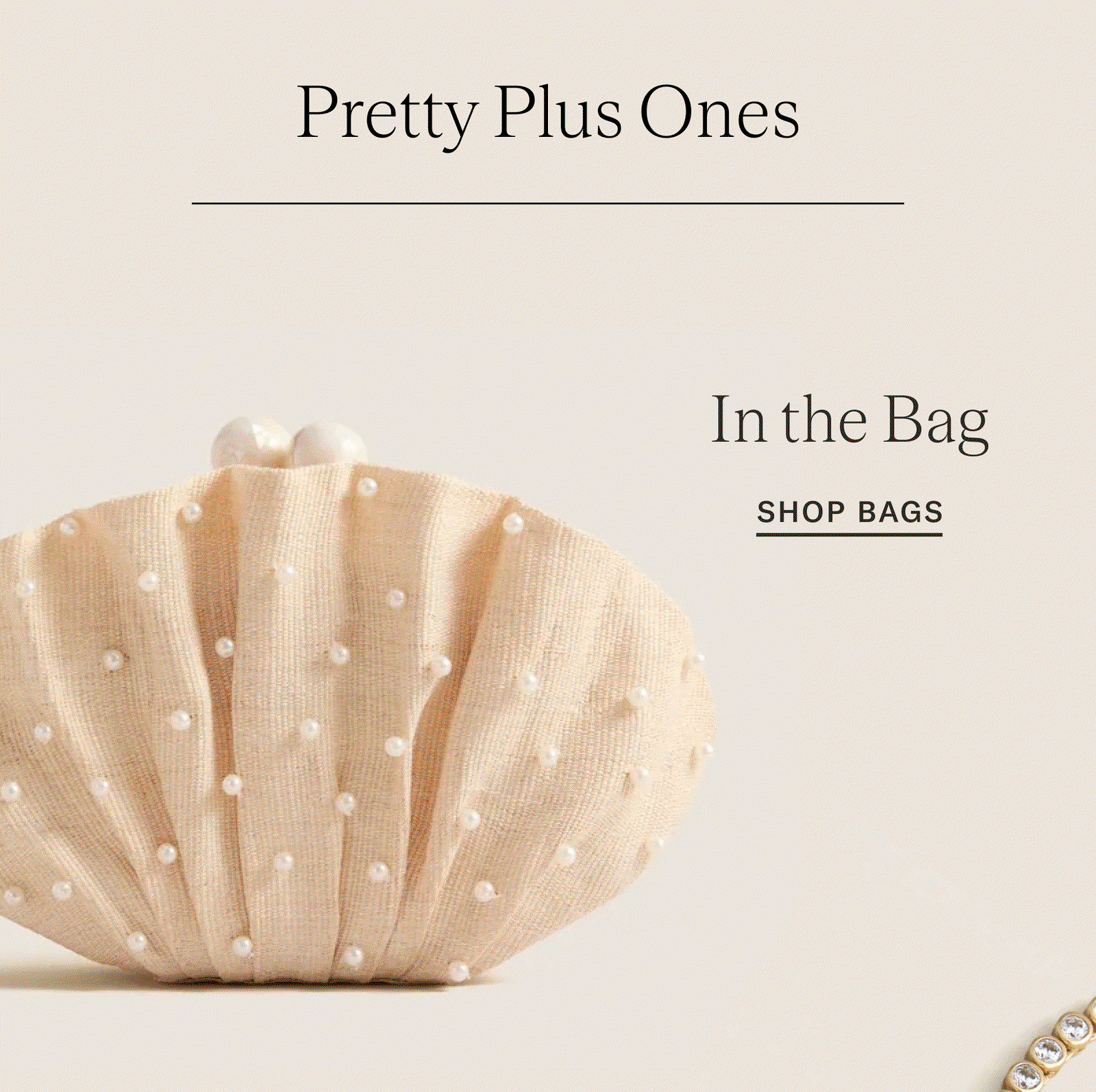 In the Bag
