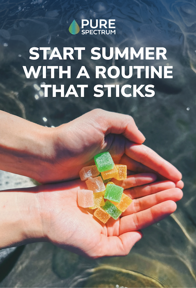 Summer Routine