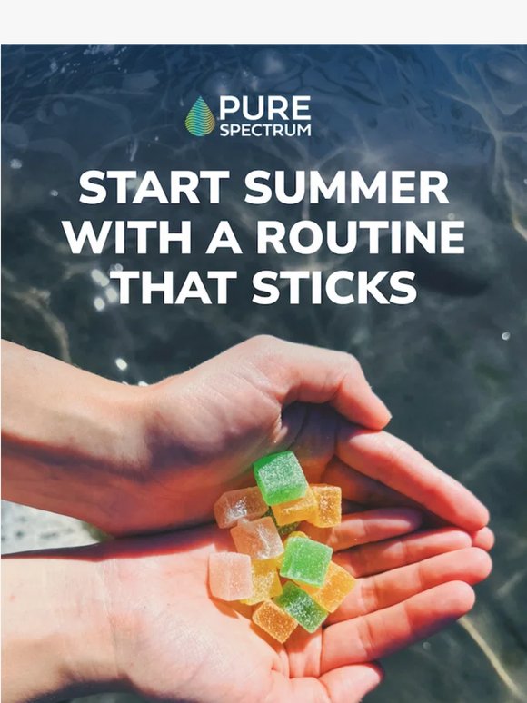 Your summer routine starts here