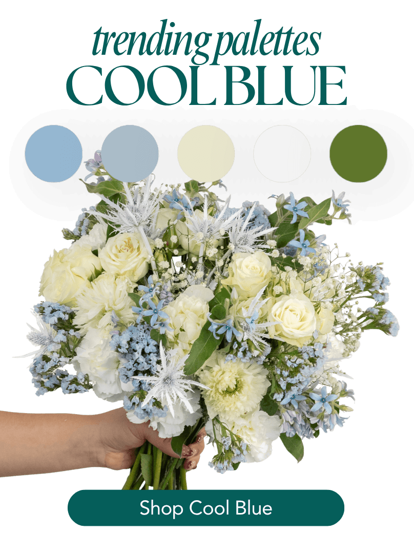 Cool Blue Palette