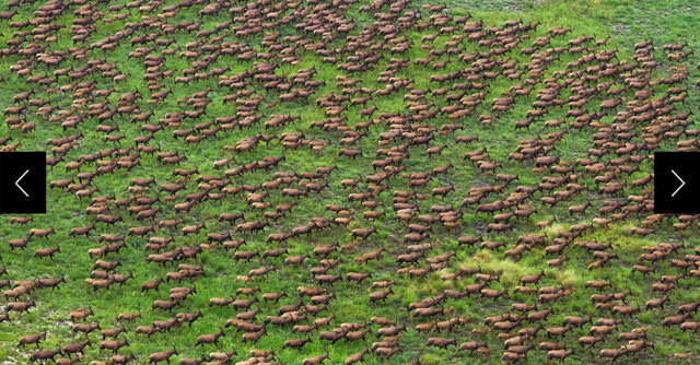 These views of the forest land in southeastern South Sudan, taken from a helicopter, reveal the region’s expansiveness.