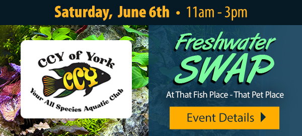 CCY Freshwater Swap - June 6th | Get Event Details! >