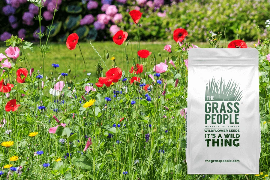 Meadow Magic wildflower seed bag