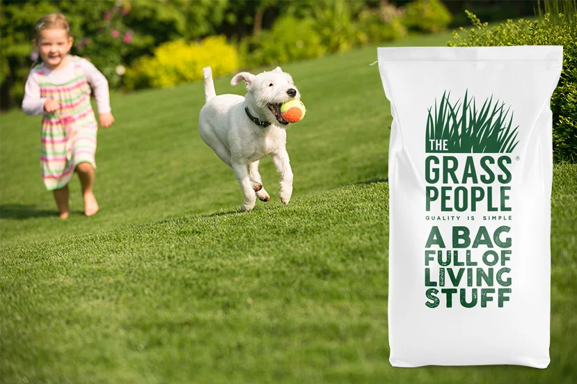 FAMILY Kids and Pets grass seed
