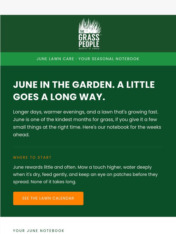 June lawn tips are here!