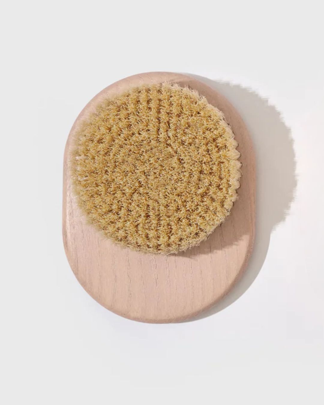 Save on Body Brushes