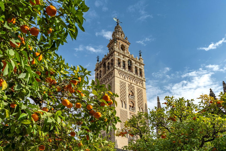 Highlights of Spain