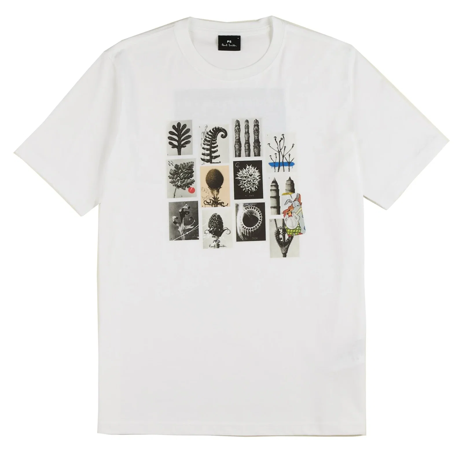 Image of Paul Smith Desert Flowers T-Shirt