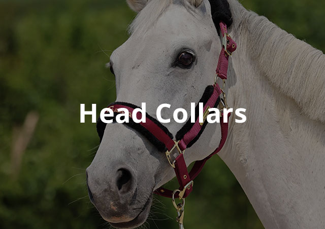 Category Image | Head Collars