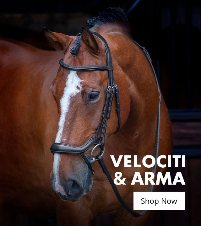 Horse wearing a leather bridle standing in a stable, with “Velociti Arma” and “Shop Now” text overlay on the left.