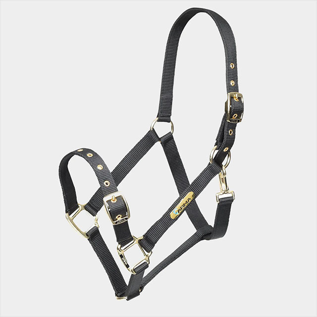 Arma Adjustable Headcollar Black