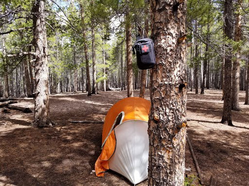 Carrying a Gun While Camping and Hiking
