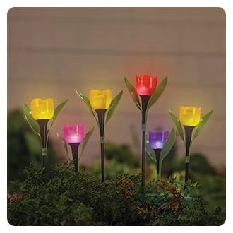 Solar Tulip Stakes, Set of 6
