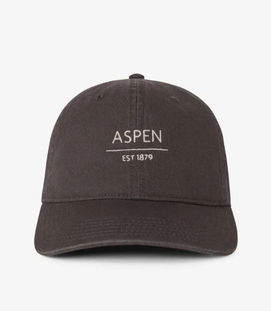 Established Dad Cap