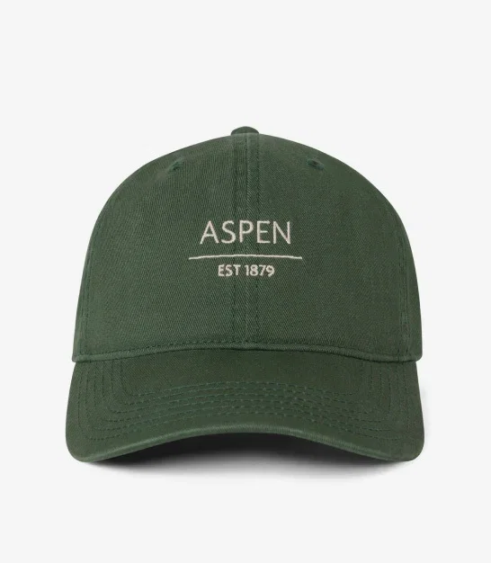 Established Dad Cap