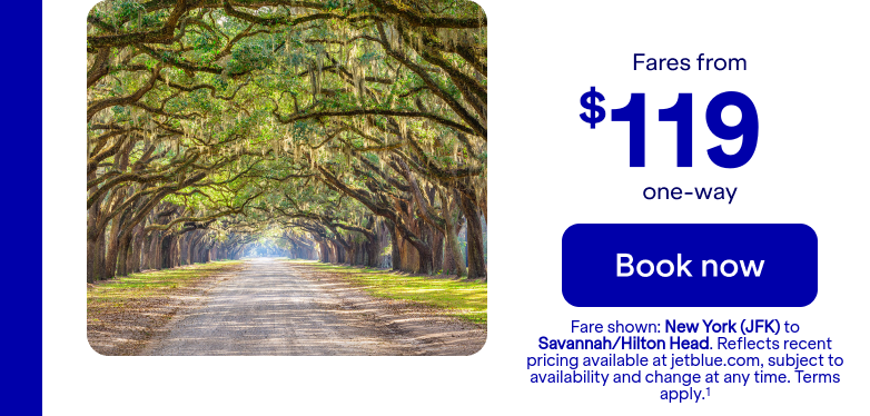 Flights from JFK to SAV. Terms apply(1).