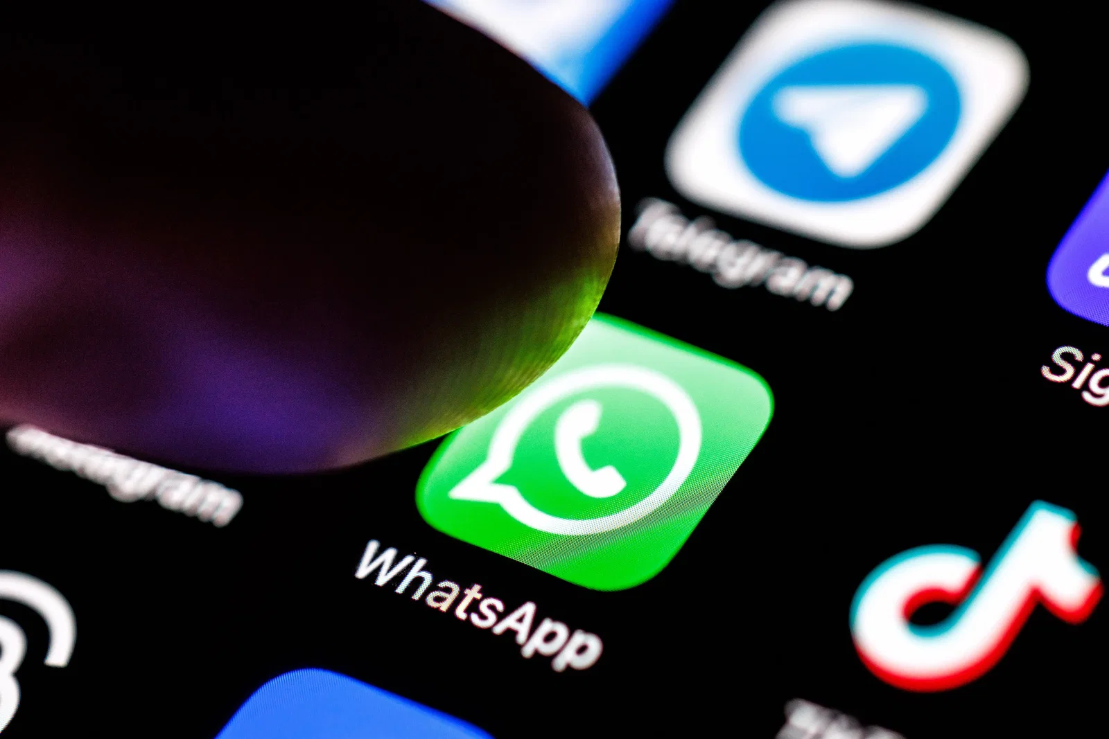 Meta's AI agent for WhatsApp Business is now available globally