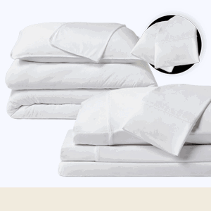 Essential Bundle