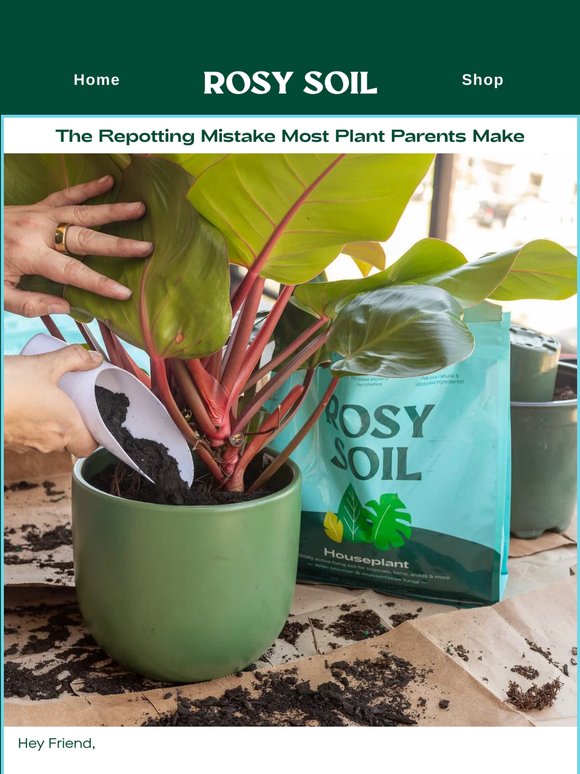 Are you repotting your plants wrong?