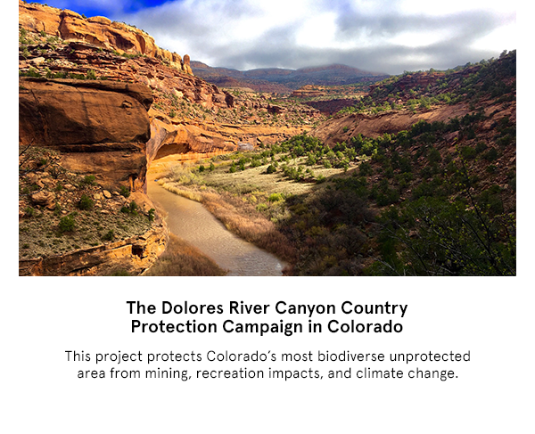 The Dolores River Canyon Country Protection Campaign in Colorado
