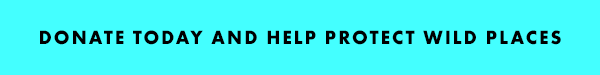 Donate Today and Help Protect Wild Places