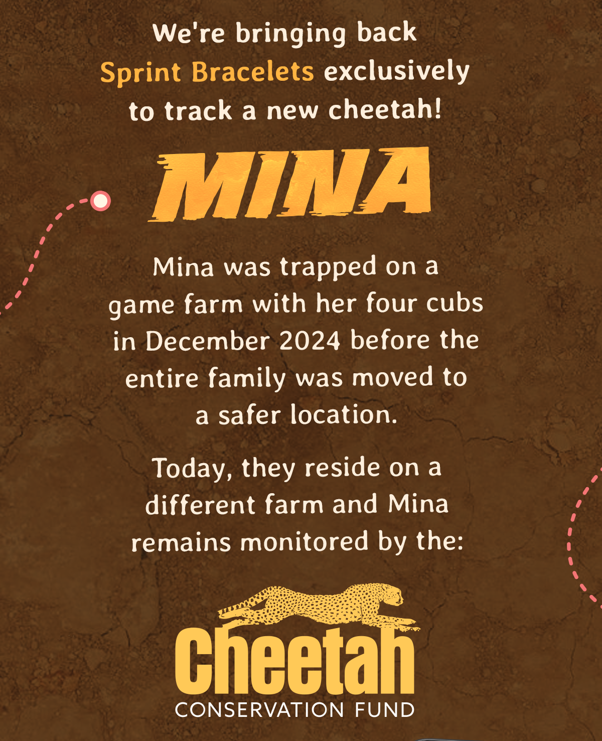 Mina was trapped on a game farm with her four cubs in December 2024. She was estimated to be around four years old, and her cubs about eight months old at the time.